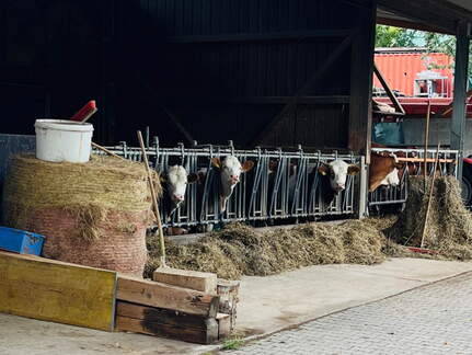 22-09-10 17-30-41 1957